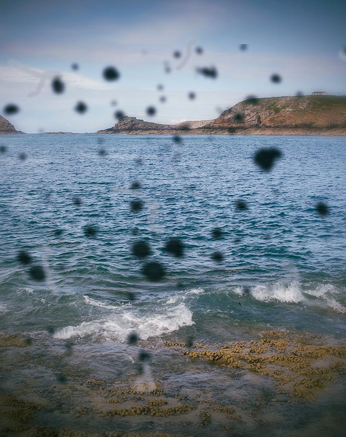 Dark spots floating across a view of the sea, like eye floaters